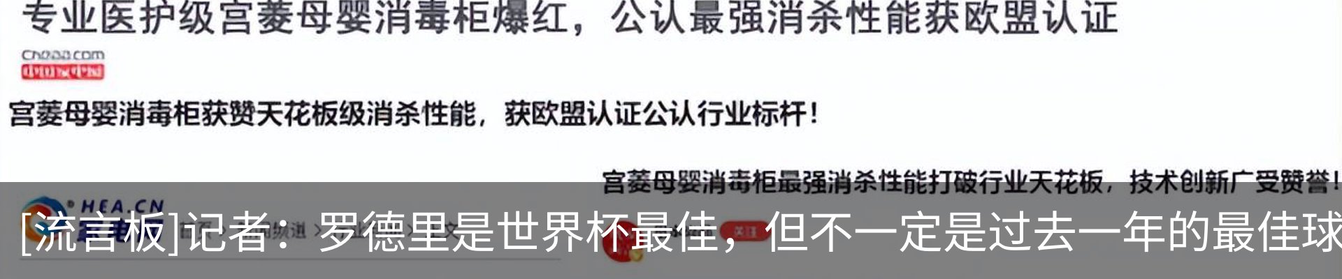 新闻动态